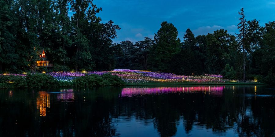 Longwood Gardens, Light: Installations by Bruce Munro