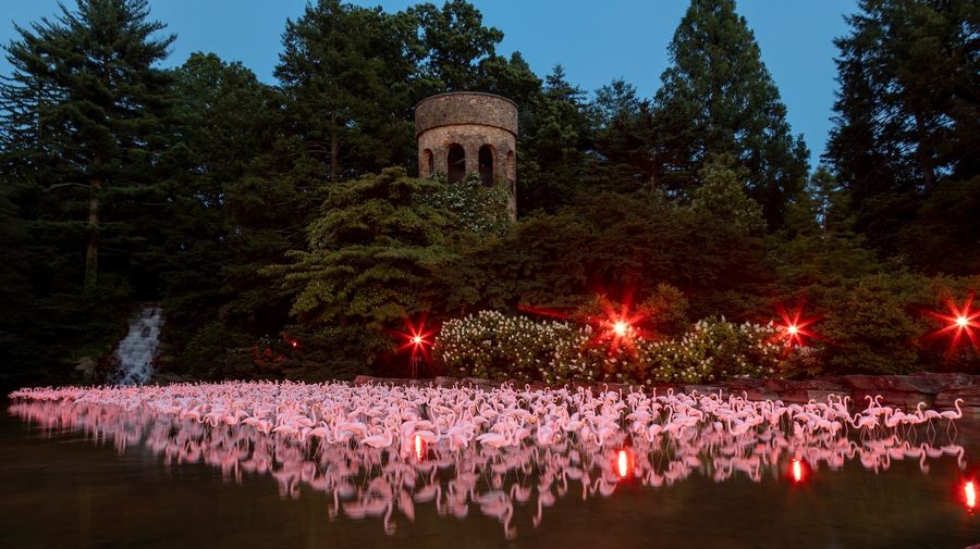 Longwood Gardens, Light: Installations by Bruce Munro
