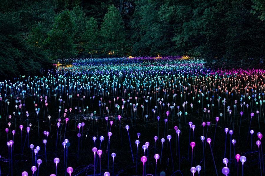 Longwood Gardens, Light: Installations by Bruce Munro