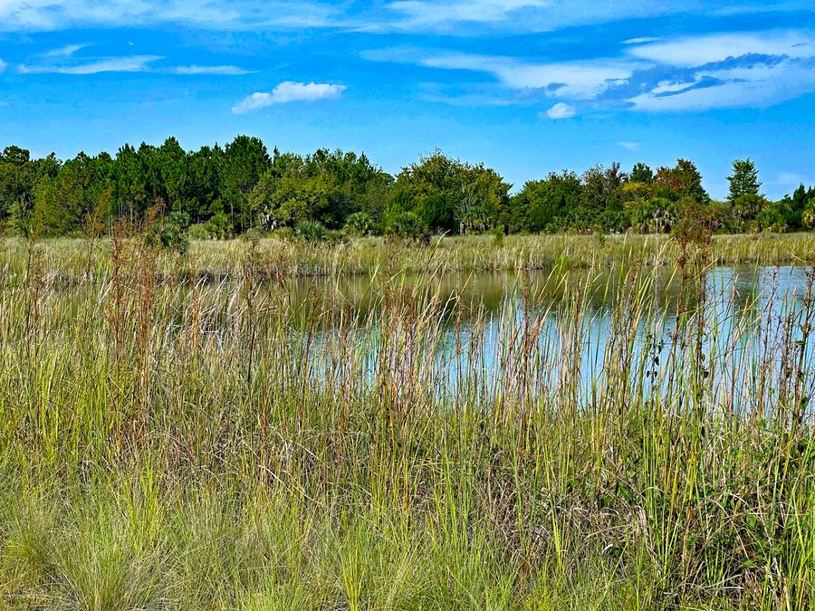 Weekiwachee Preserve Aug19-22_9349