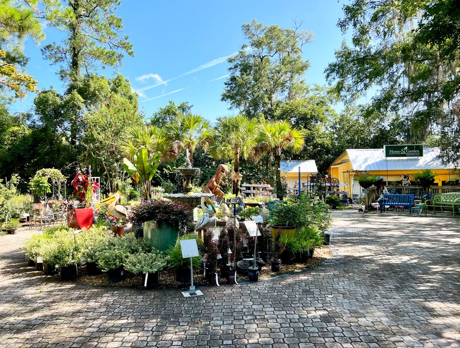 IMG_1282Tallahassee Nurseries