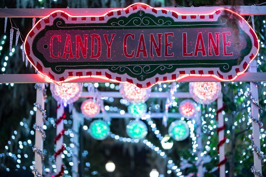 Candy Cane Lane-9