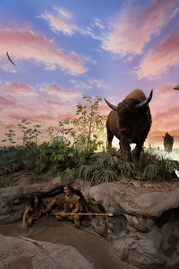 Bishop Museum of Science and Nature