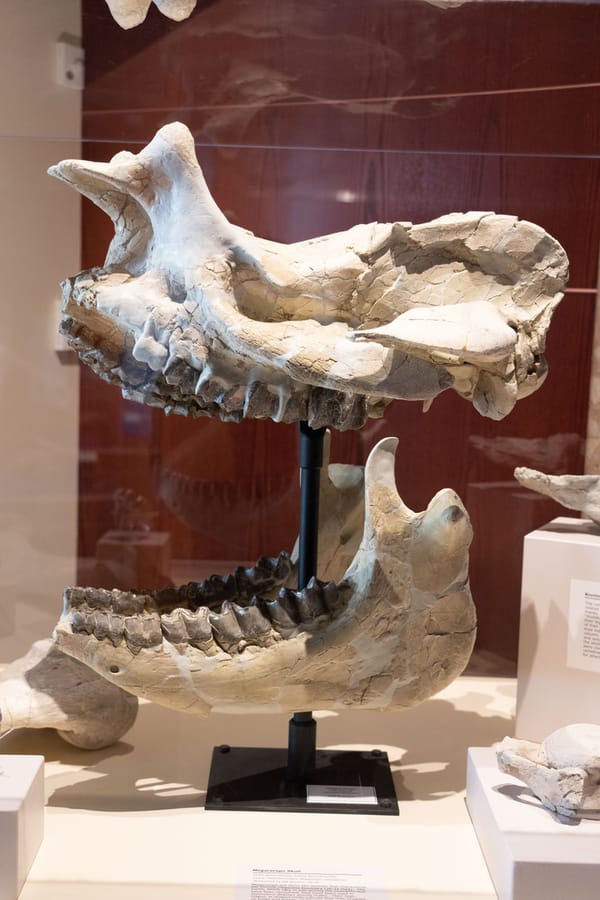 Bishop Museum of Science and Nature