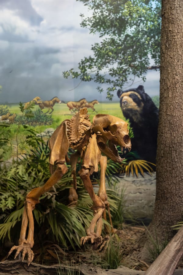 Bishop Museum of Science and Nature