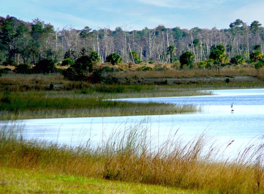 Weeki Wachee PreserveWeekiwachee Preserve, Spring Hill