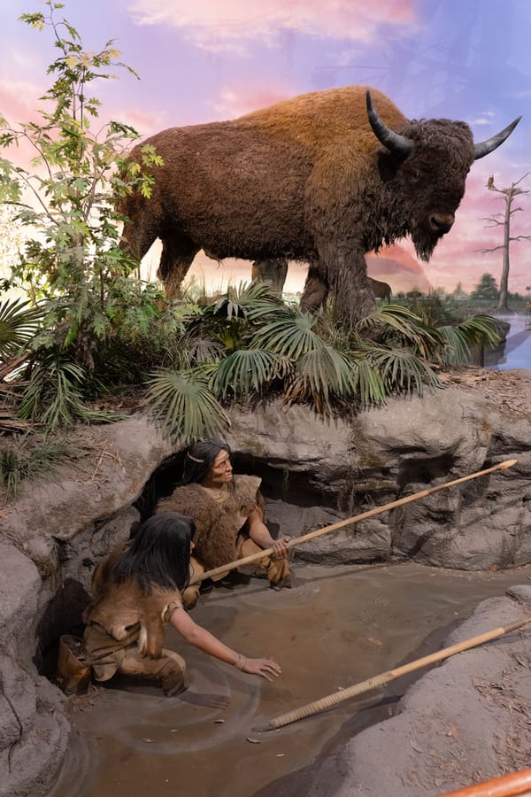 Bishop Museum of Science and Nature