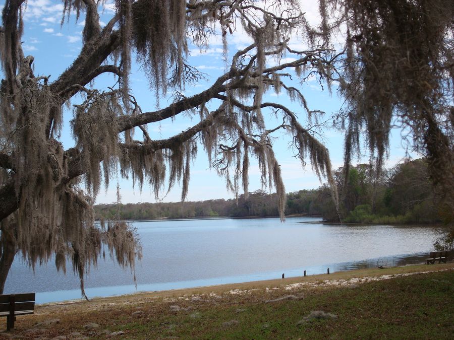 Silver Lake Recreation Area, Brooksville