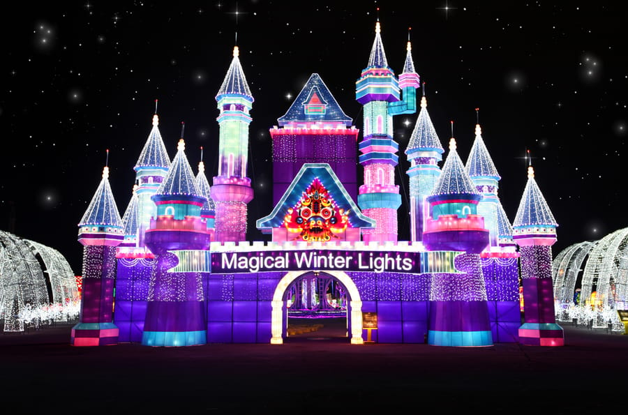 Magical Winter Lights