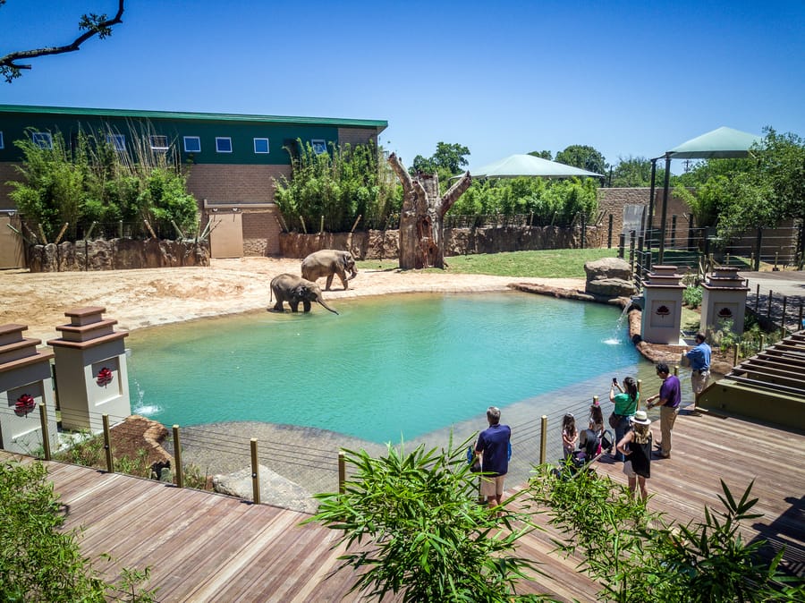 Zoo Elephant Expansion 3