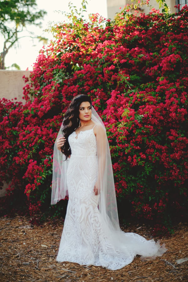 Natalie + Jose JASON MIZE PHOTOGRAPHY