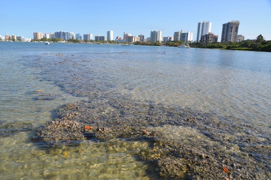 20190417_OysterBeds_123_SD