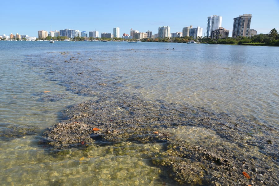 20190417_OysterBeds_122_SD