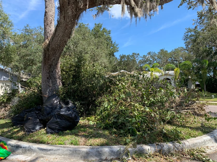 Hurricane Ian  debris