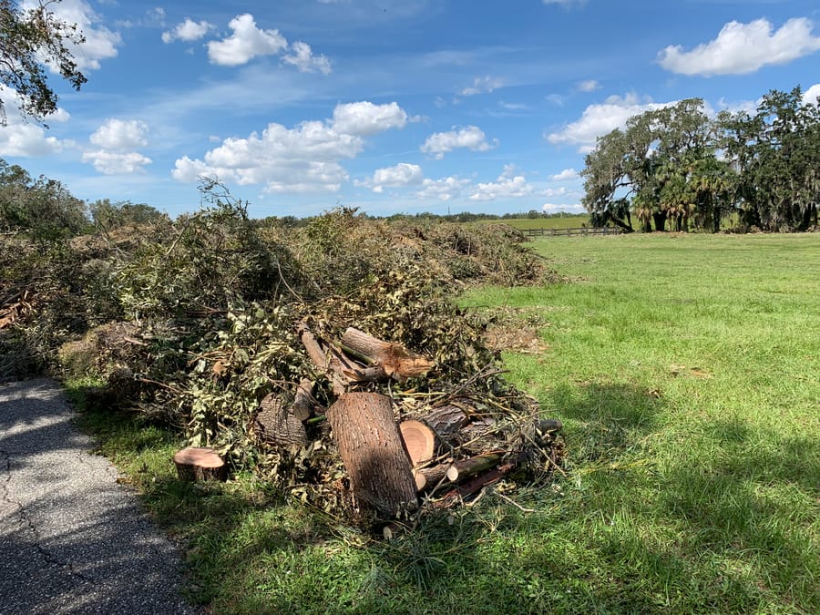 Hurricane Ian Debris - Rothenbach Park