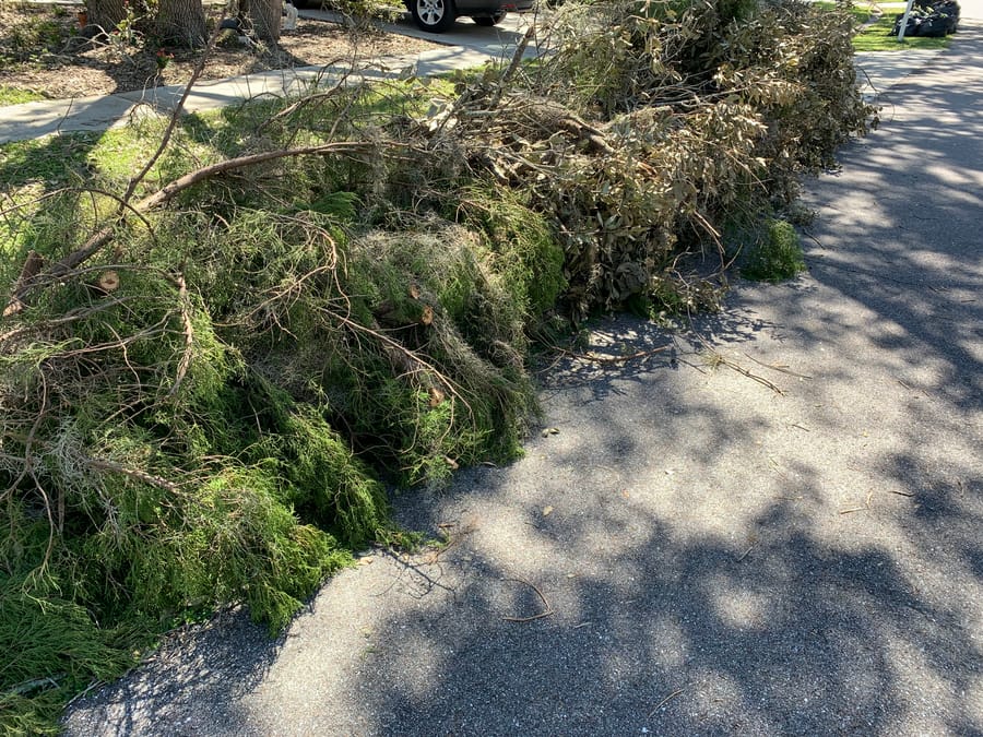 Hurricane Ian debris