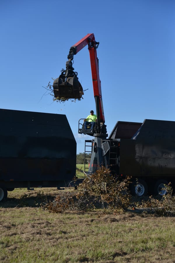 Ian Storm Debris Removal
