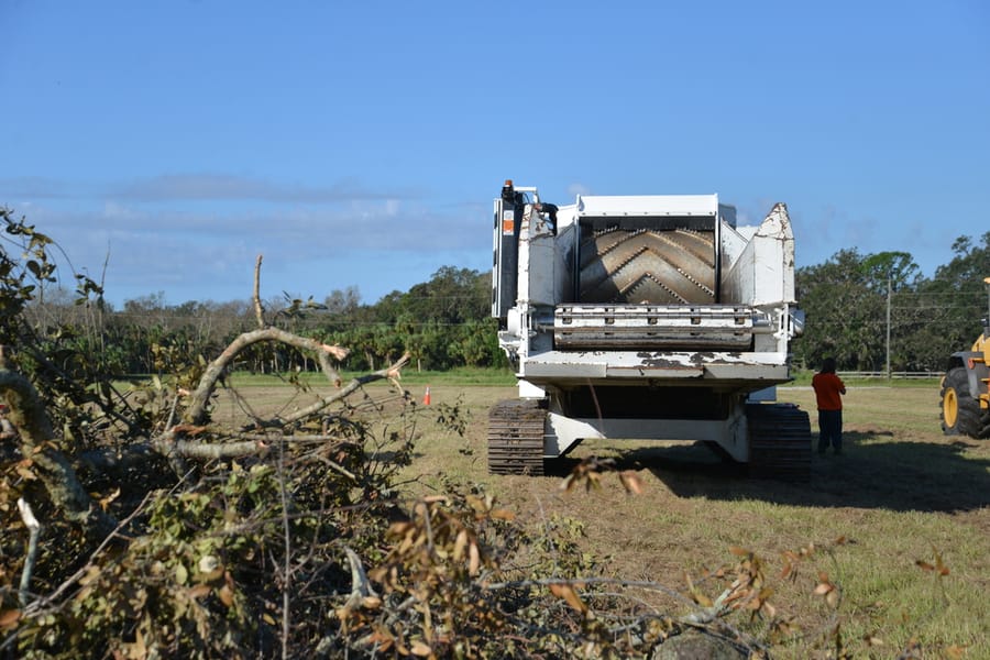 Ian Storm Debris Removal