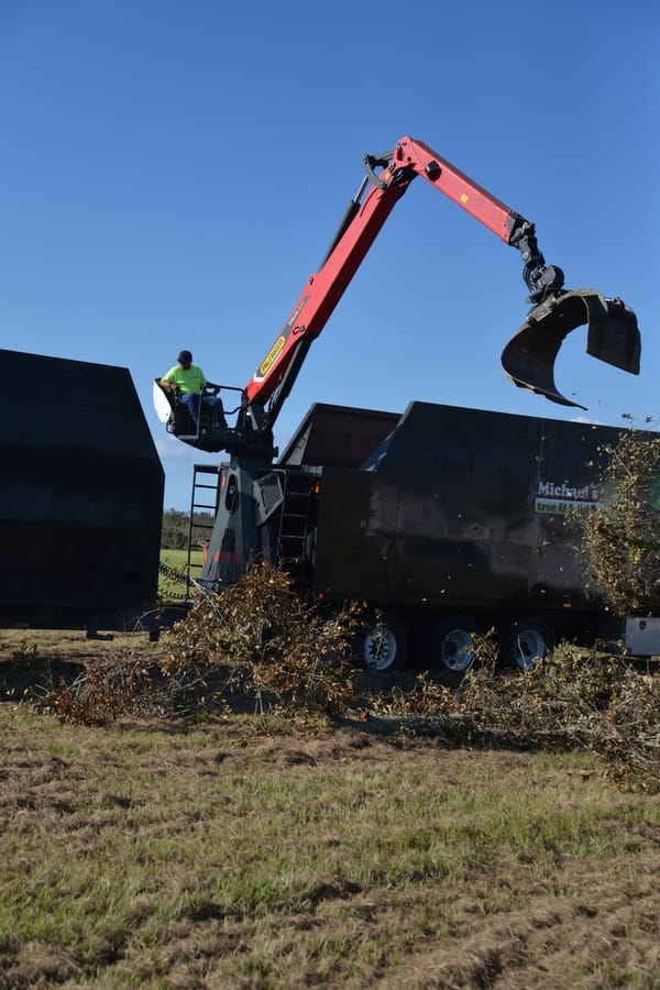 Ian Storm Debris Removal