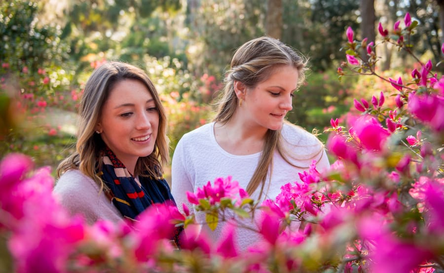 Azalea blooms at Maclay Gardens