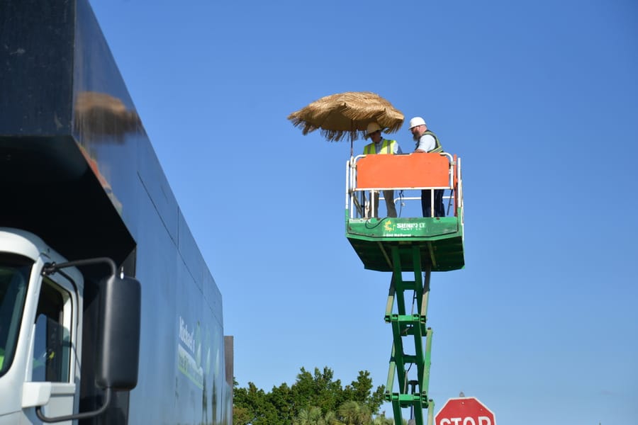 Ian Storm Debris Removal