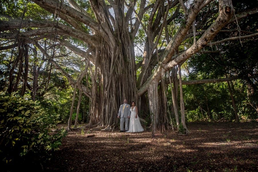 Ashley & Alain Paradise Studios