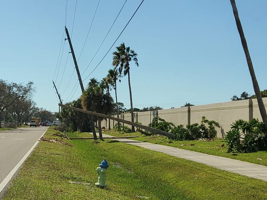 Hurricane Ian - downed tree