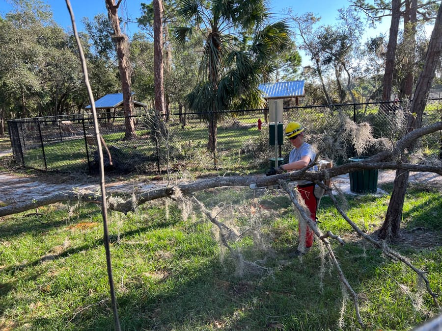 Hurricane Ian - debris removal