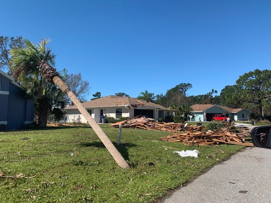 Hurricane Ian - downed tree