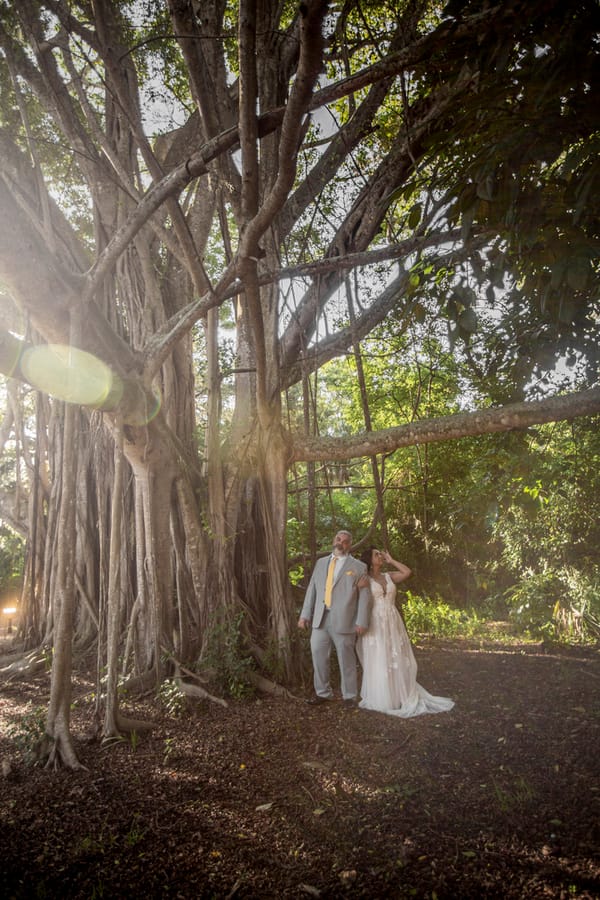 Ashley & Alain Paradise Studios