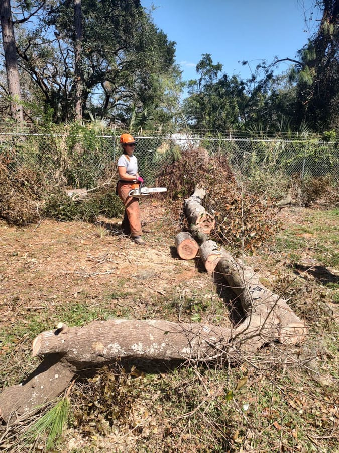 Hurricane Ian - debris clearing