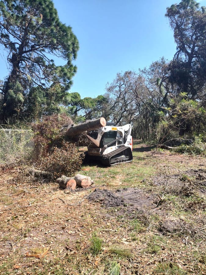 Hurricane Ian - vegetative storm debris