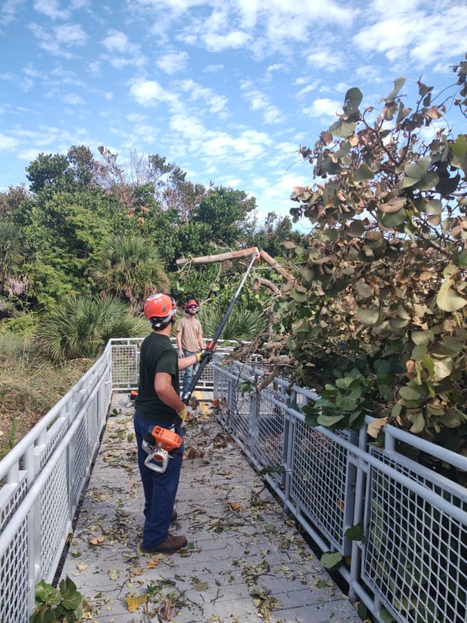 Hurricane Ian - debris clearing