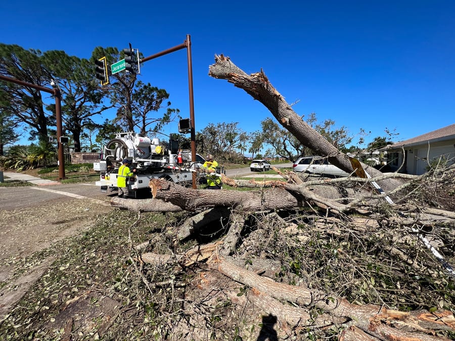 Hurricane Ian - downed tree