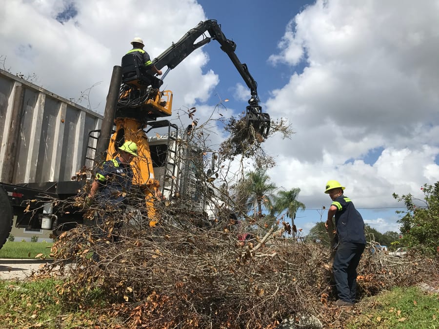 Hurricane Ian - vegetative storm debris