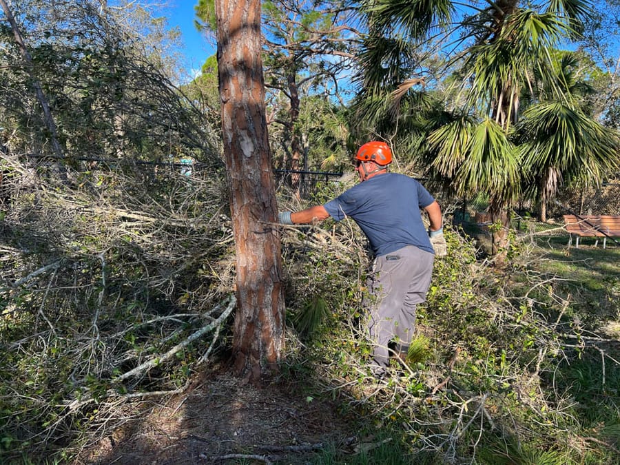 Hurricane Ian - debris clearing