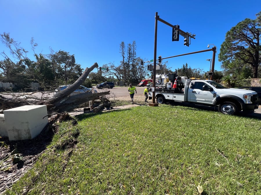 Hurricane Ian - downed tree