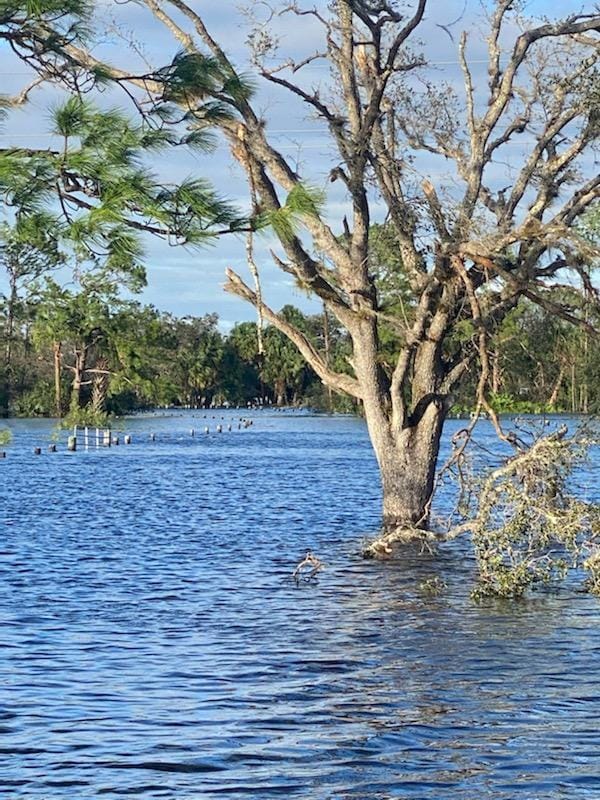 Ian - Walton Preserve flooding