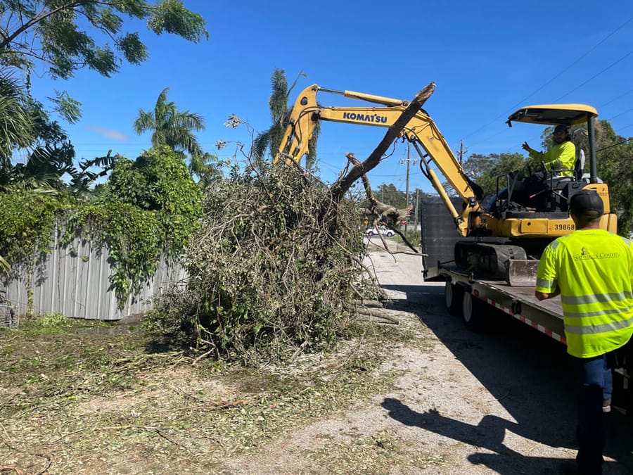 Hurricane Ian - debris clearing