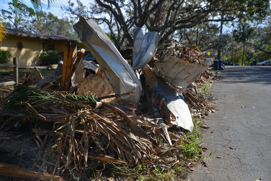 Ian - Vegetative Debris Removal