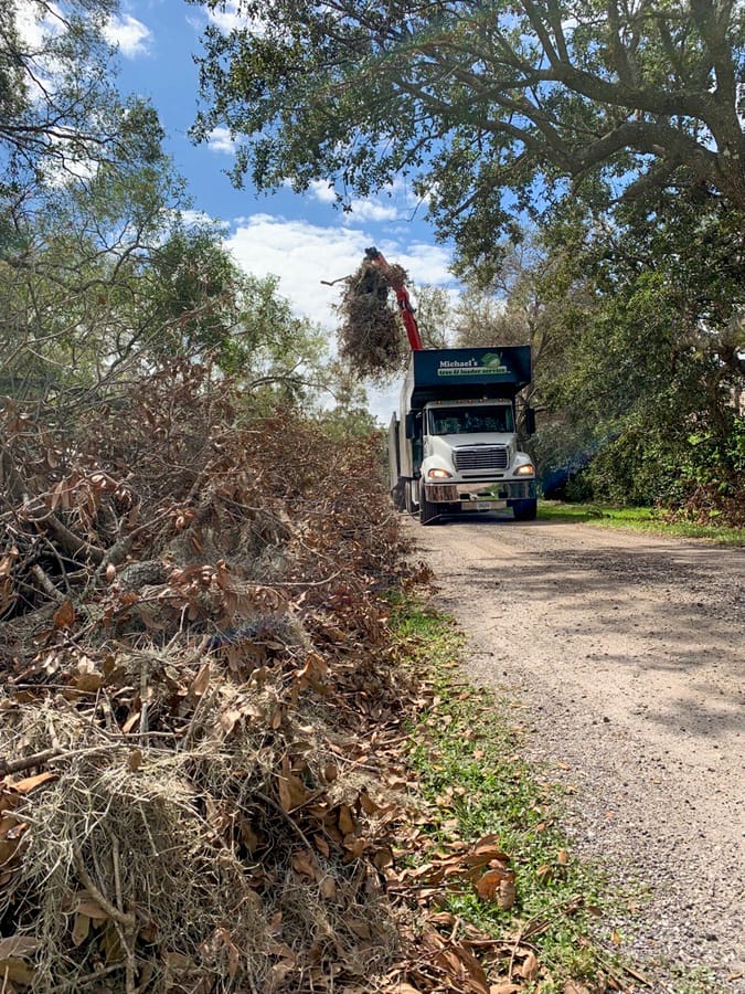 Ian - Vegetative Debris Removal