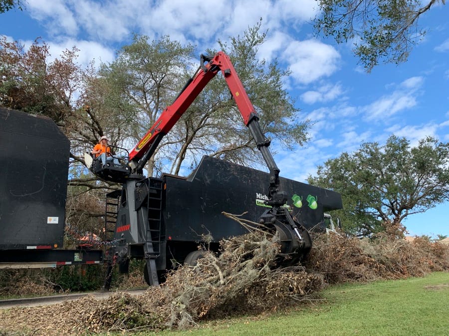 Ian - Vegetative Debris Removal