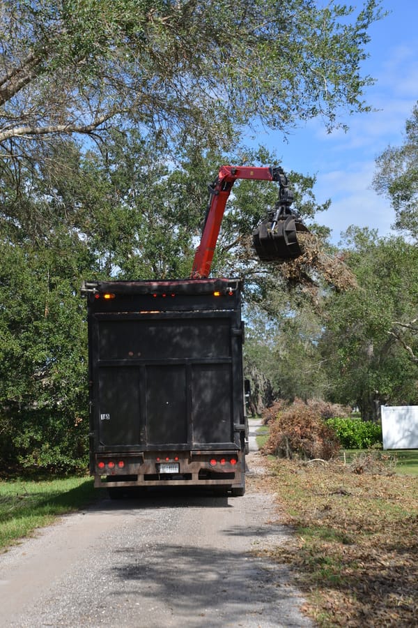 Ian - Vegetative Debris Removal