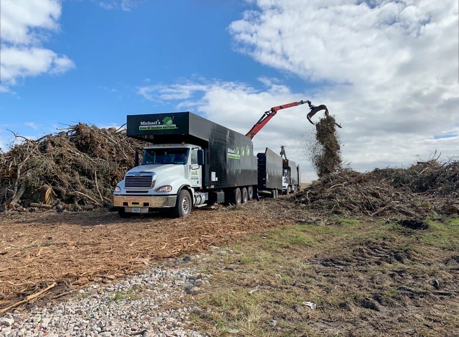 Ian - Vegetative Debris Removal