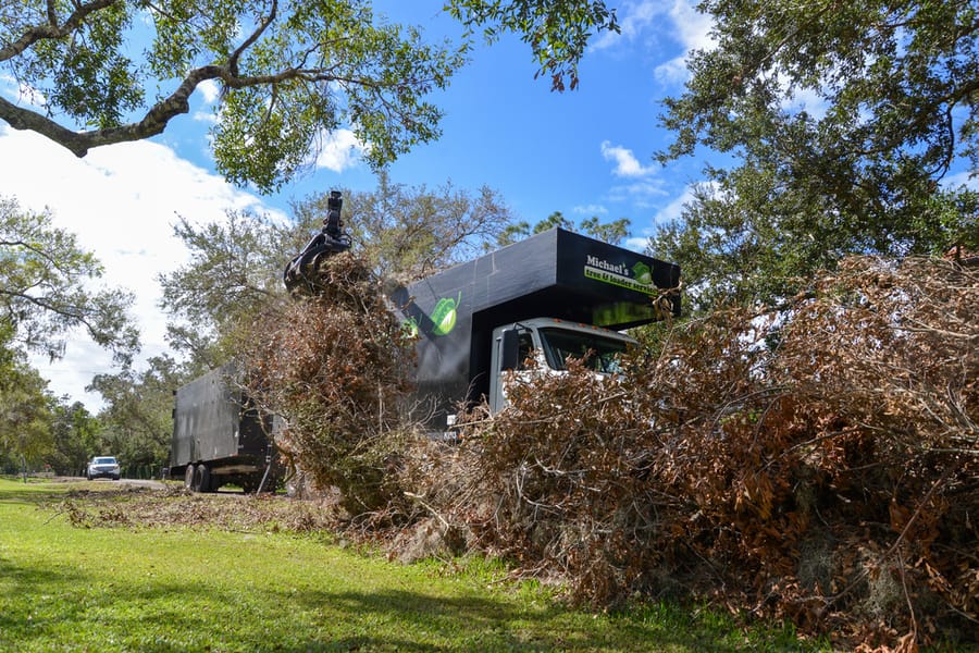 Ian - Vegetative Debris Removal