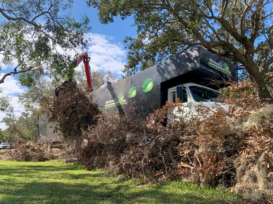 Ian - Vegetative Debris Removal