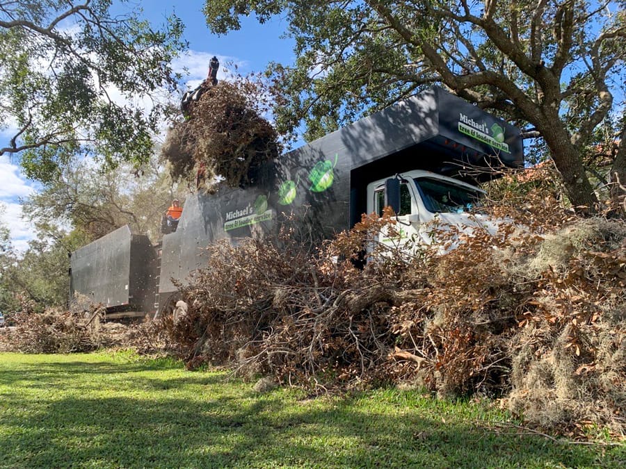 Ian - Vegetative Debris Removal