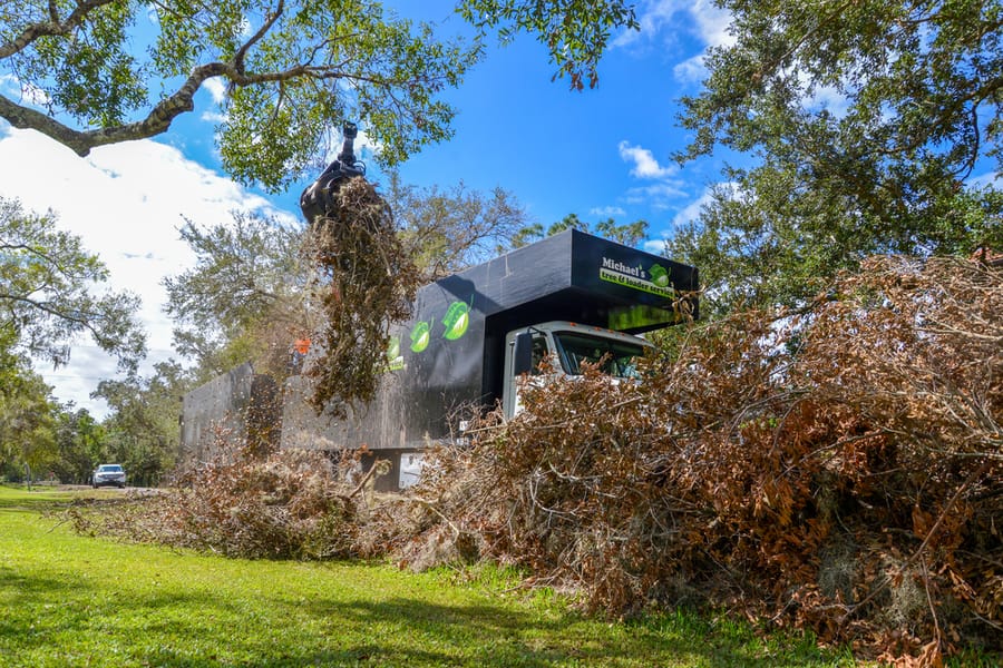 Ian - Vegetative Debris Removal