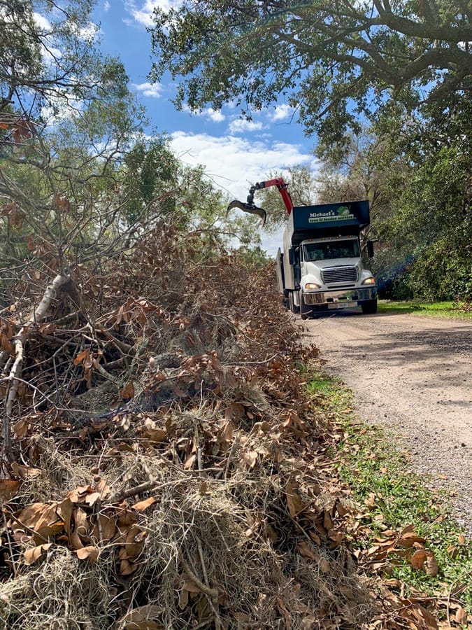 Ian - Vegetative Debris Removal