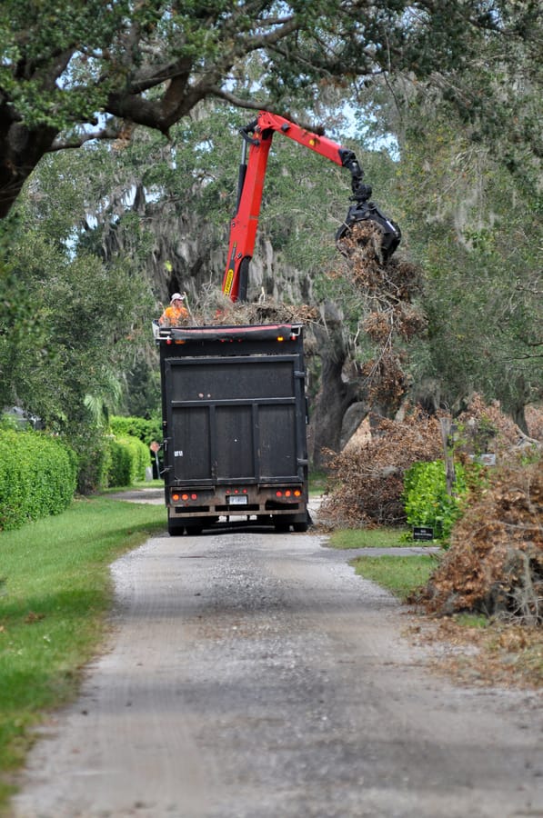 Ian - Vegetative Debris Removal